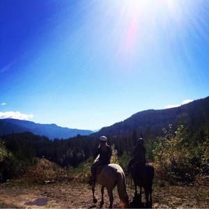 Meet your Posher, Karla